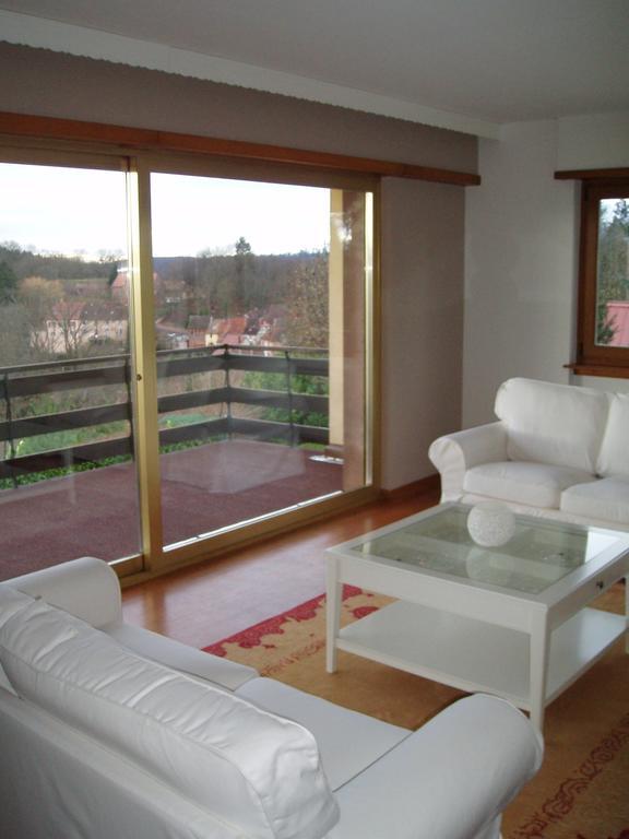 Villa Du Lion D'Or La Petite-Pierre Oda fotoğraf